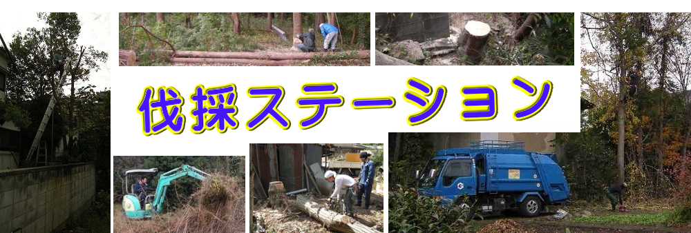 愛知県美浜町の庭木伐採、立木枝落し、草刈りを承ります。